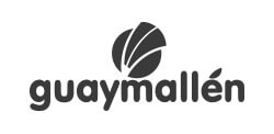 logo-guaymallen