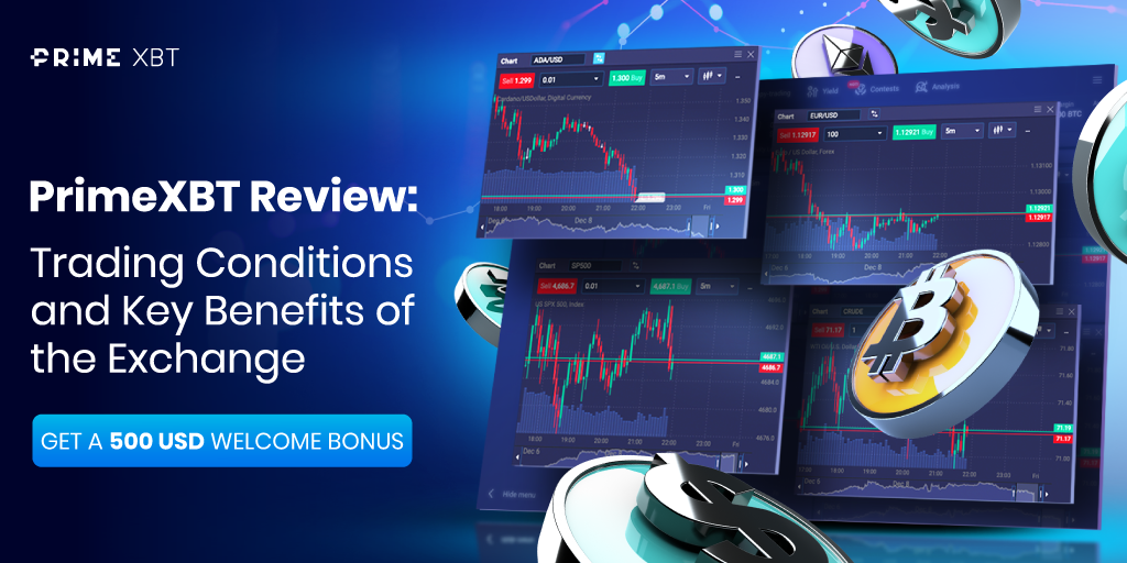 Understanding Risk Disclosure PrimeXBT Essential Insights for Traders Understanding Risk Disclosure PrimeXBT Essential Insights for Traders